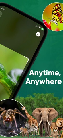 Animal Identifier - Beast ID screenshot