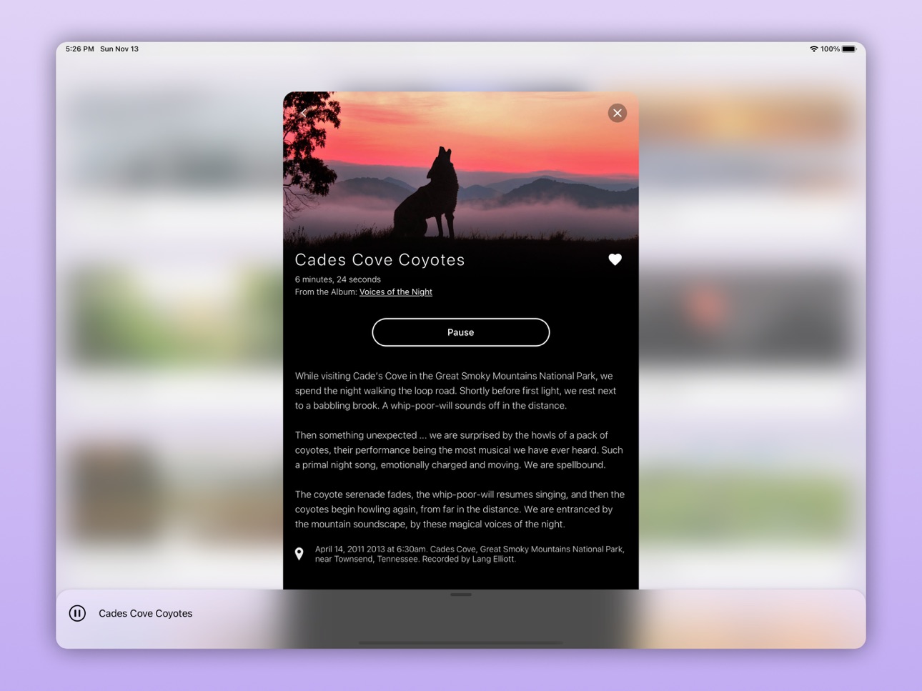 iPad screenshot