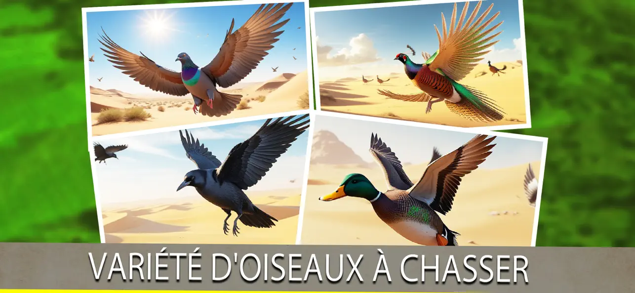 Screenshot #1 pour Jeu de chasse au faisan 3D