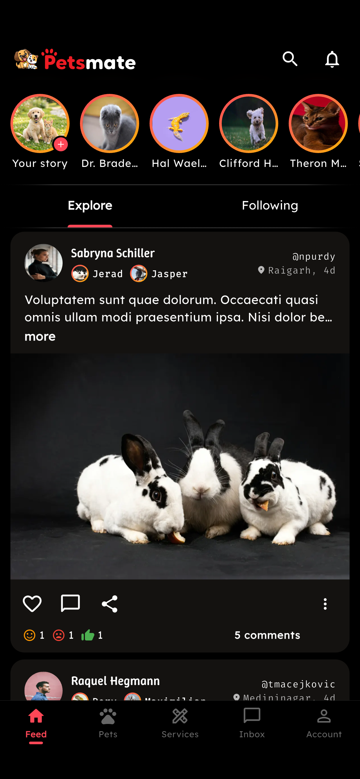 Petsmate screenshot 2