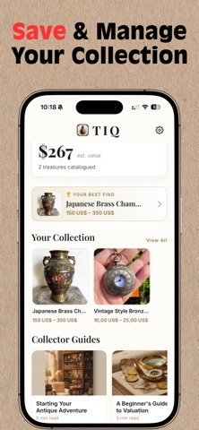 Antique Identifier : TIQ iPhone screenshot