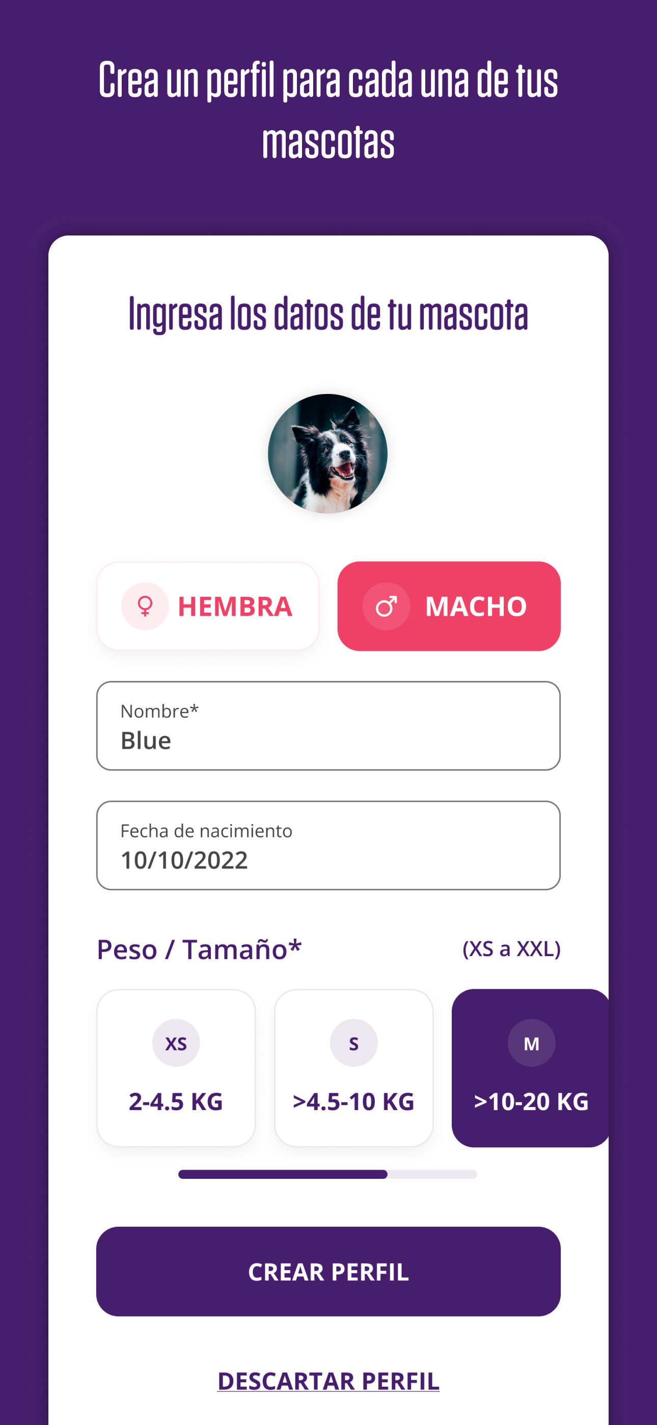 Bravecto Rewards Argentina