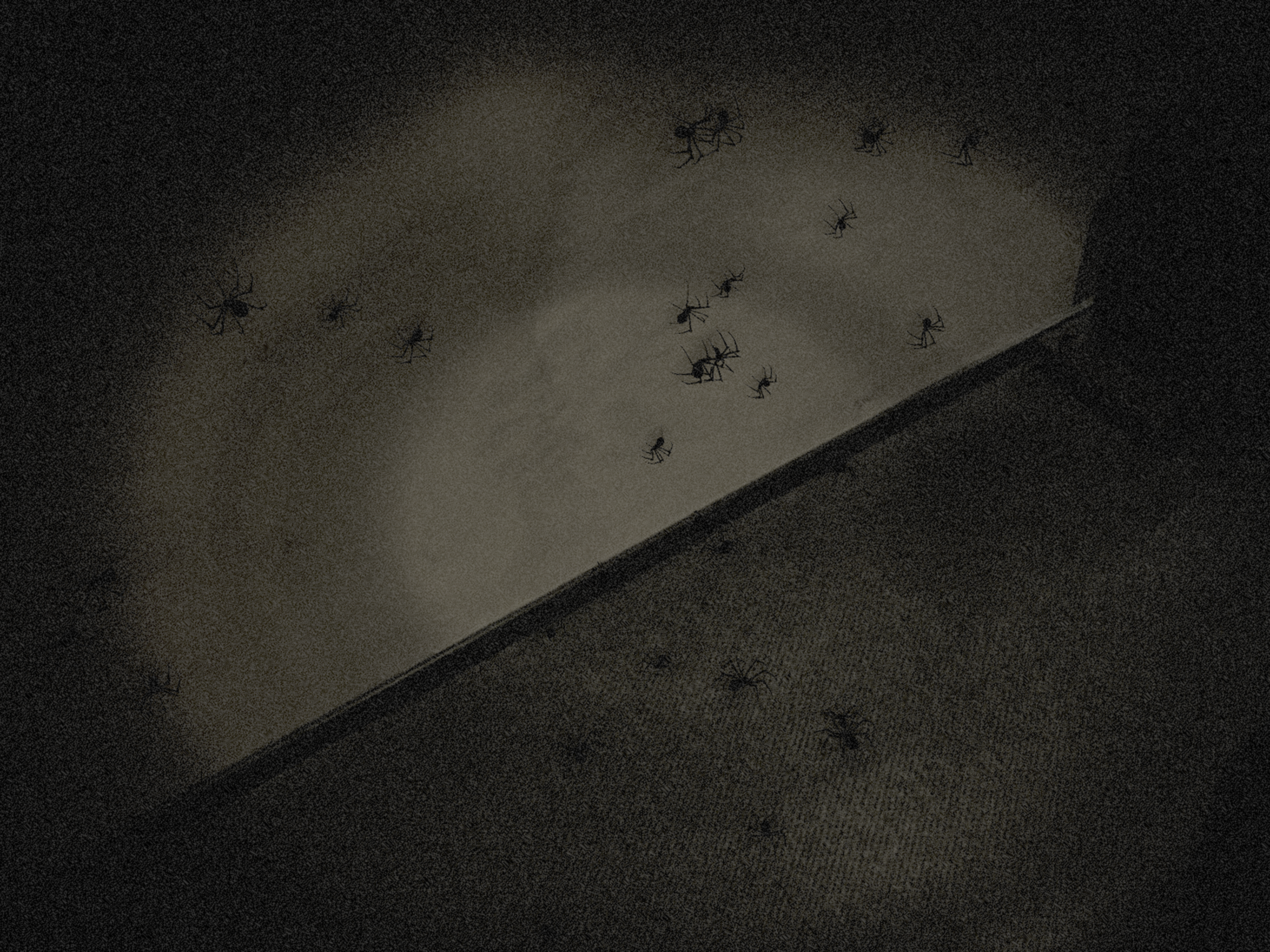 Night Panic: Scary AR Horror
