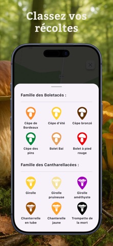 Pickfungi - Carte Champignons screenshot