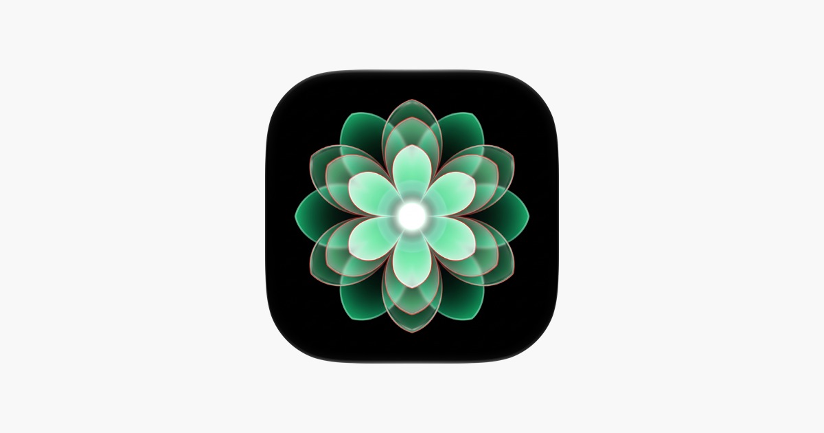 Bloom: Macro, All in Focus App - App Store