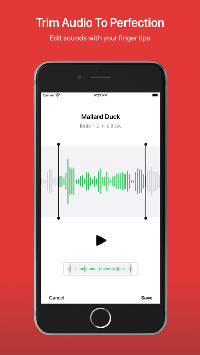 Snbd Screenshot