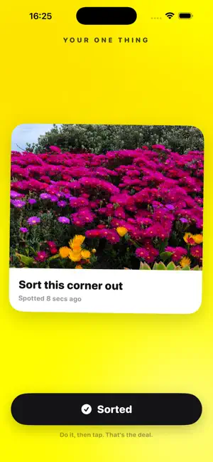 Just One. Snap. Sort. Done. screenshot 1