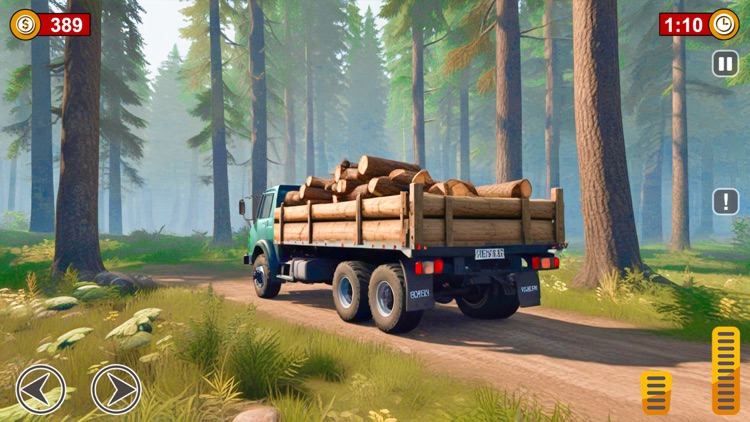 Drive Heavy Truck Simulator 3D screenshot-4