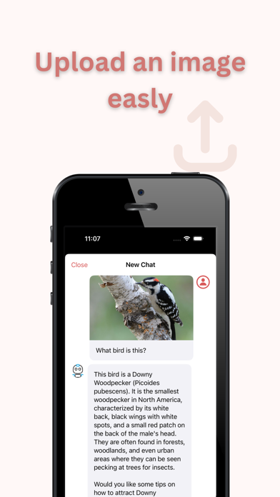 Bird Identifier - Bird+ Screenshot