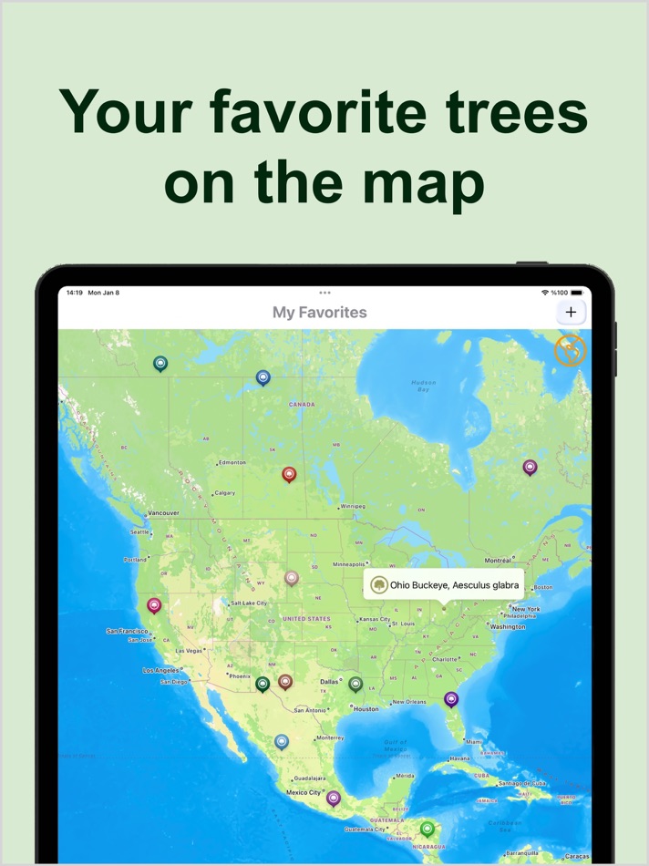 #8. Forest Tree Identification (iOS) Podle: Kesifler Dunyasi Ltd.