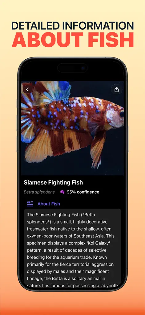 Fish Identifier & AI Scanner - Education App | MWM