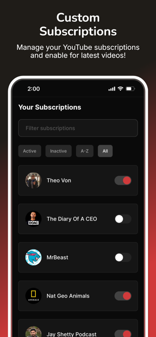 SummarizeYT.ai Screenshot 7 of 8