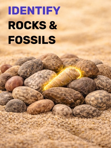 Fossil Identifier & Rock ID iPad screenshot