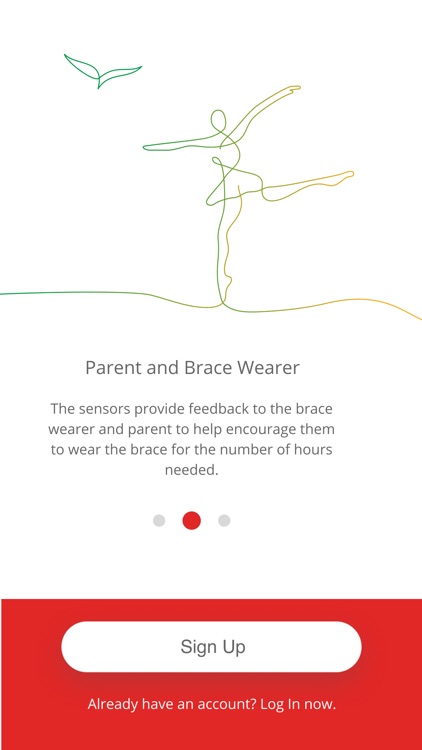 Brace Rite Scoliosis