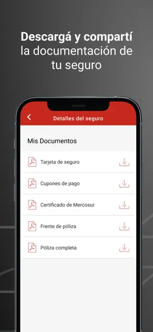 La Caja de Ahorro y Seguro iPhone screenshot 3