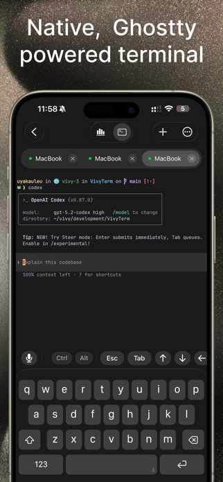 VVTerm: Native SSH Client Screenshot 1 of 6