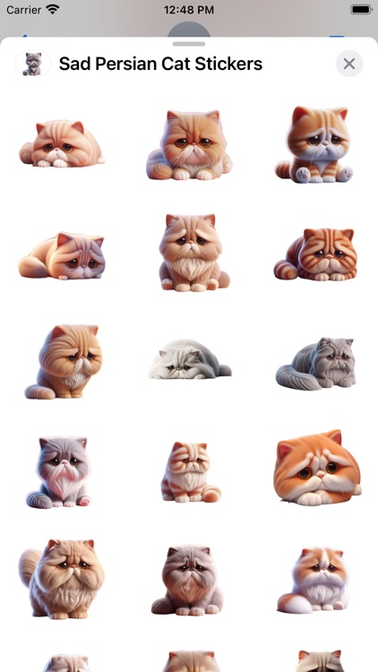 Sad Persian Cat Stickers