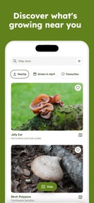 Sporecast: Mushroom Map & ID screenshot
