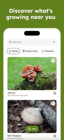Sporecast: Mushroom Map screenshot