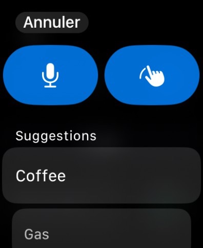Apple Watch screenshot