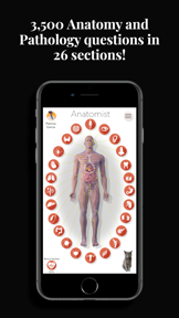 Anatomist – The Anatomy Game screenshot