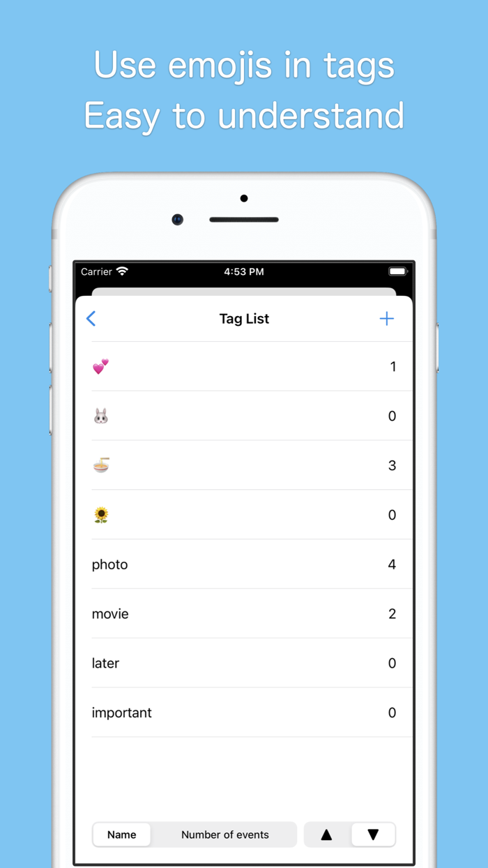 First diary, Theme Diary