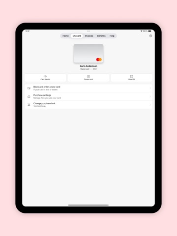 Spendwise iPad screenshot 2