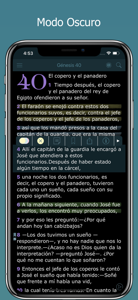 La Biblia NVI - Bible en Audio screenshot 3