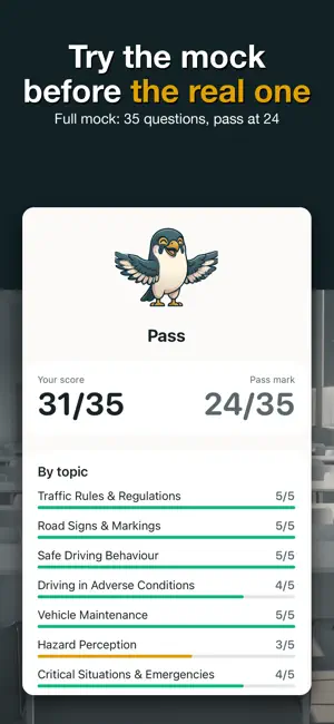 DriveAce: RTA Theory Test screenshot 3