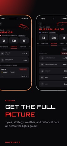 RaceMate: GP Stats & Standings screenshot
