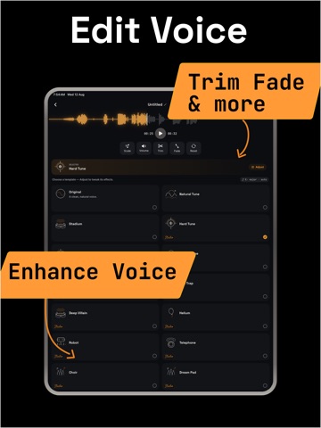 Voice Tune - Auto Recorder iPad screenshot