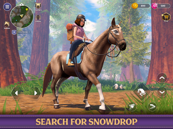 Star Equestrian - Horse Ranch iPad screenshot 6 - Games app