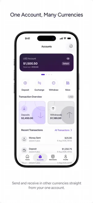D-CASH screenshot 3