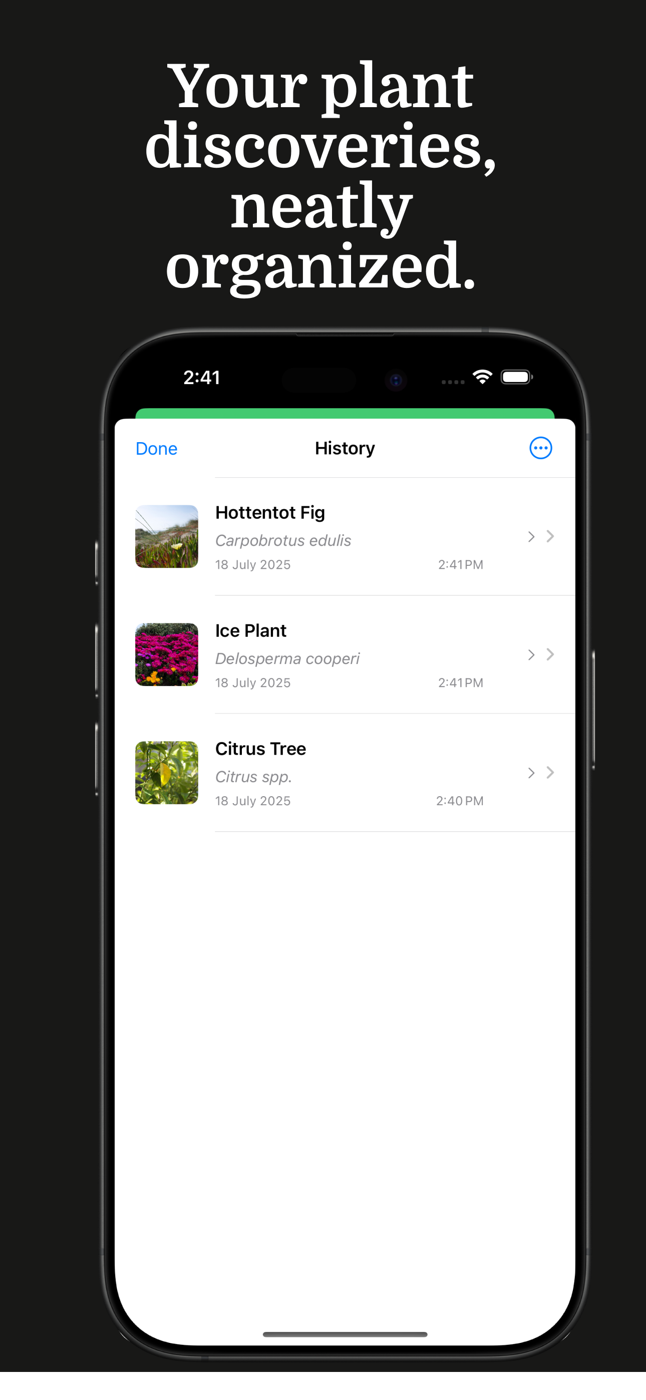 Plantella - Plant Identifier screenshot 4