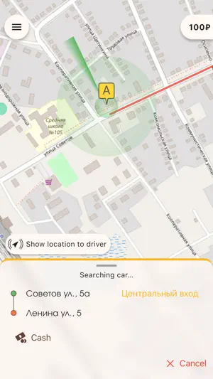 Taxi Mestnoe screenshot 2