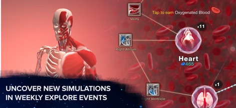 Cell to Singularity: Evolution - Users can delve into the intricate 3D anatomical model, exploring the human torso and its systems, while interacting with elements like the "Heart" and "Veins" to earn "Oxygenated Blood."