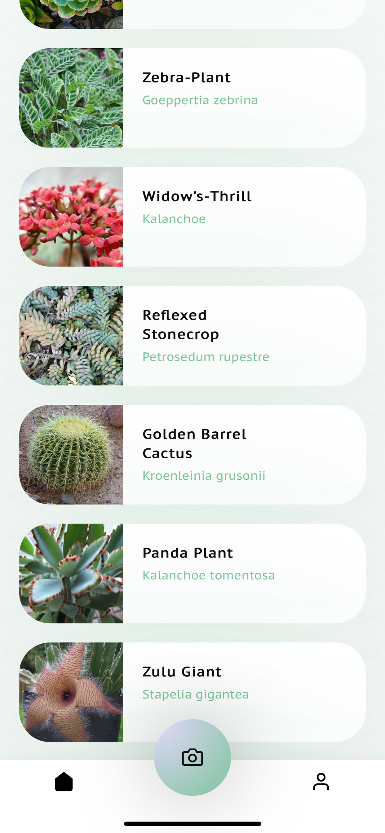Succulent Identifier App