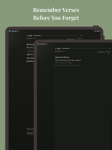 Rooted: Bible Memory Screenshot 3