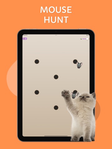 Games for Cats & Kittens: iCat iPad screenshot