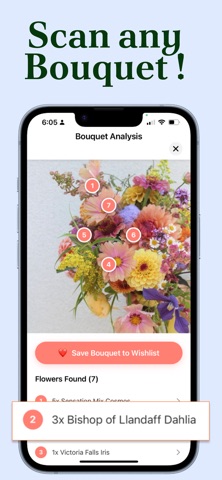 Flower Identifier - Florals AI iPhone screenshot