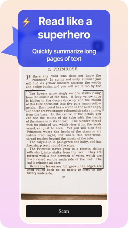 PageClip: AI Summarizer