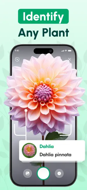 Plant Identifier・Care & Health screenshot 1