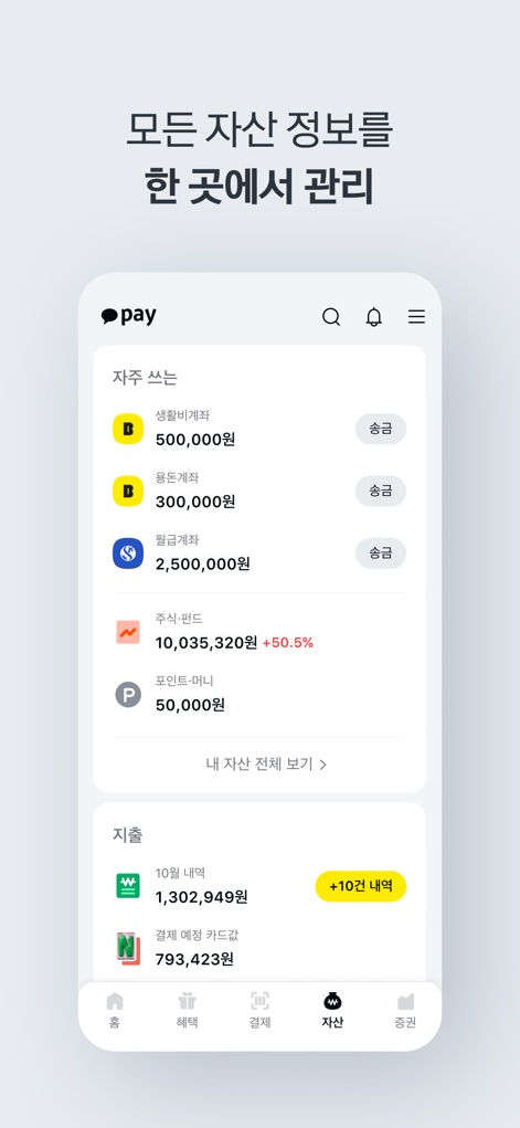 카카오페이 - この画面を通じて、ユーザーは保有するすべての銀行口座や投資資産の状況を確認し、詳細な月次支出を効率的に追跡できます。