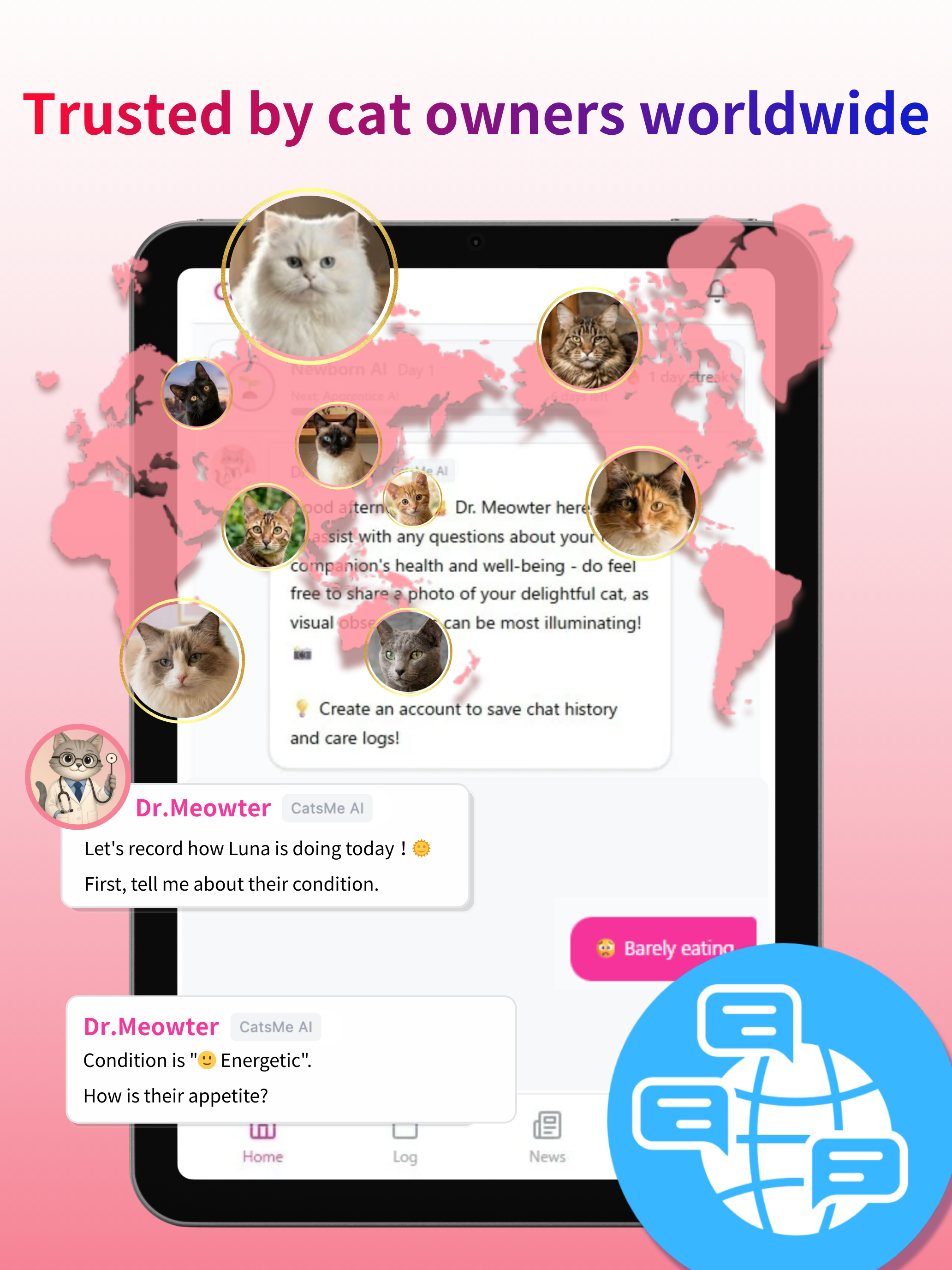 CatsMe – AI Health for Cats