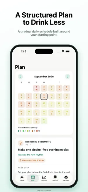 Sober Steps: Daily Plan screenshot 1