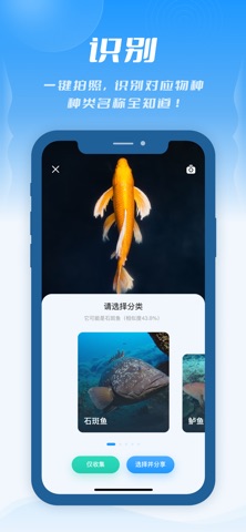 问鱼 screenshot