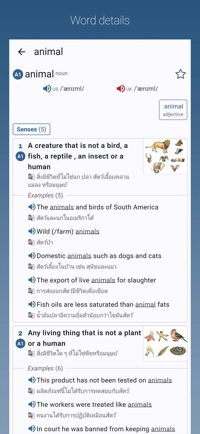 English-Thai Dictionary Pro