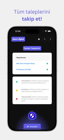 Alsem Digital screenshot
