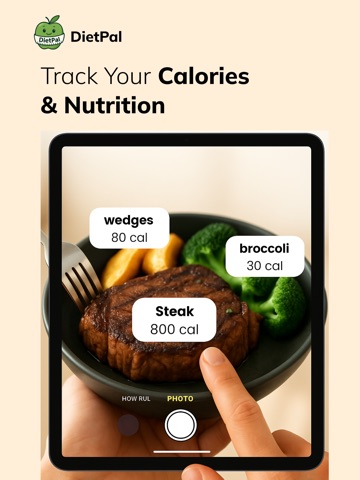 AI Food Tracker - DietPal iPad screenshot