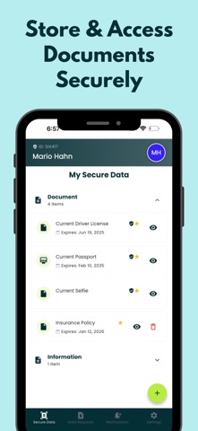 My Databoss screenshot